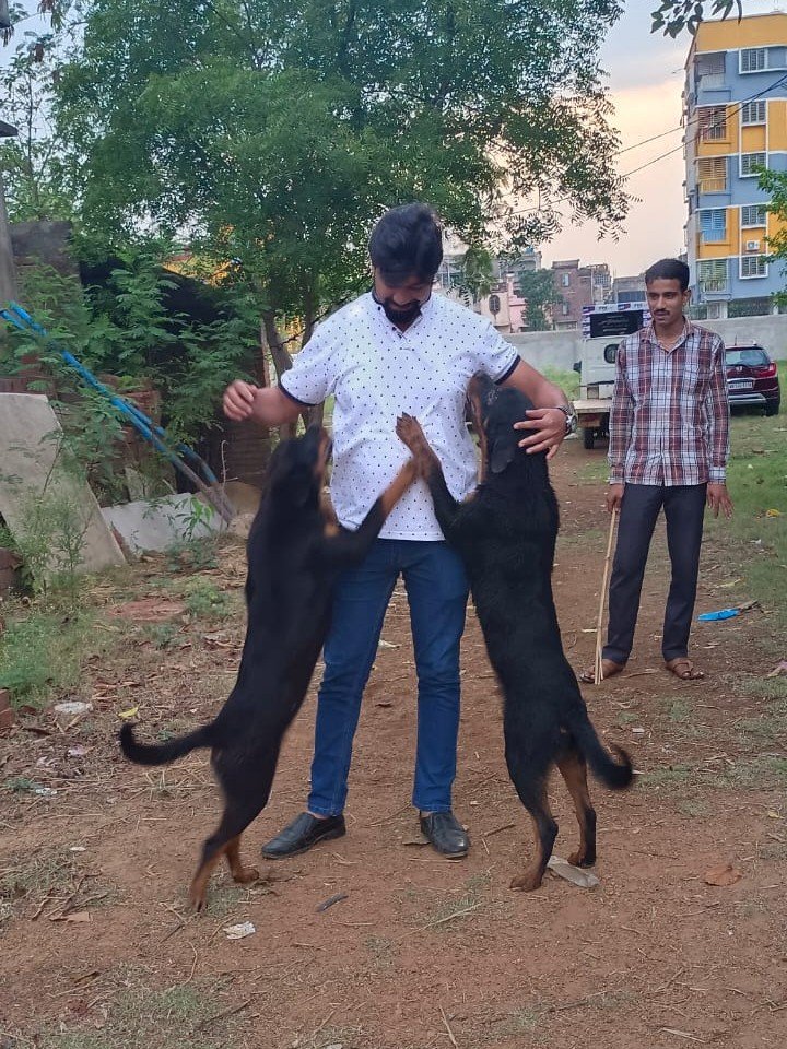 Promoting awareness and kindness towards animals